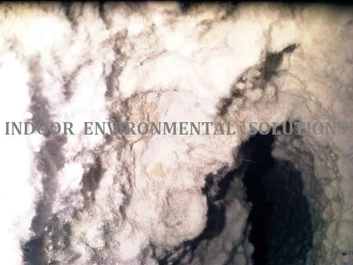 Slide of Indoor Environmental Solutions