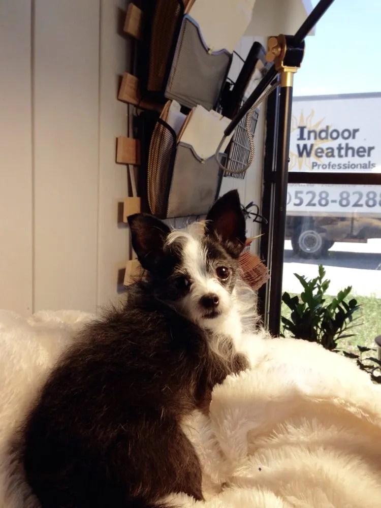 Slide of Indoor Weather Professionals