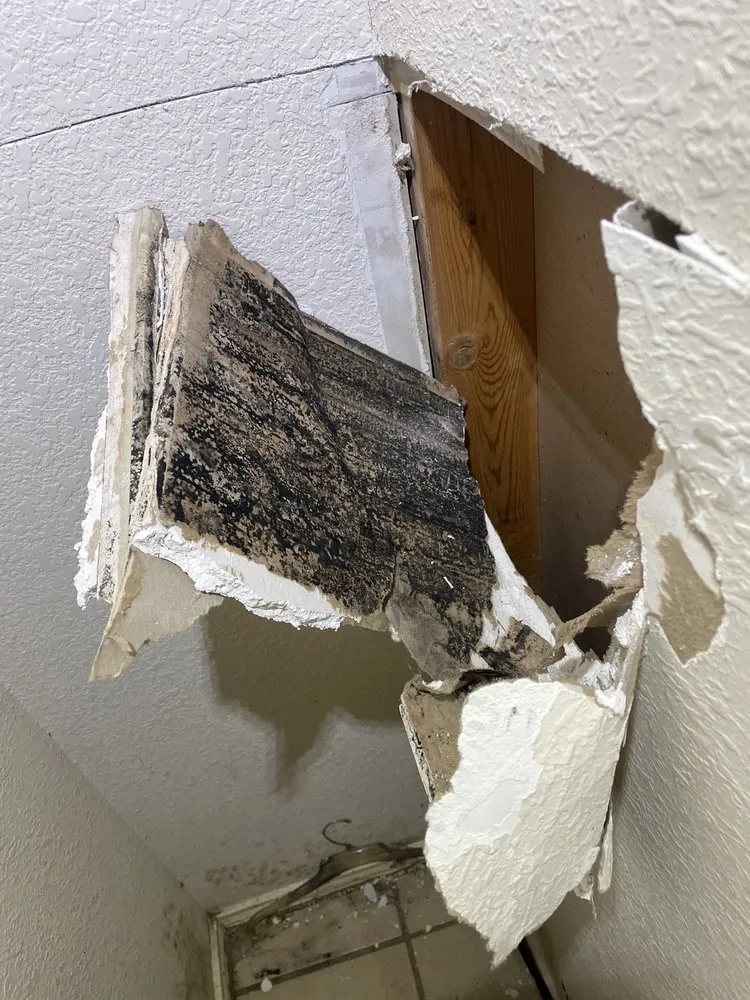 Slide of Infinity Water Restoration