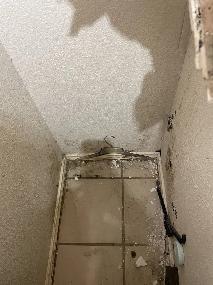 Slide of Infinity Water Restoration