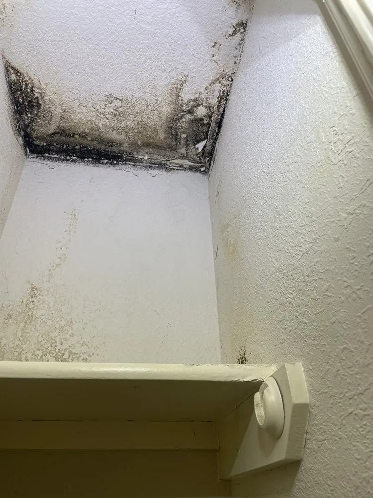 Slide of Infinity Water Restoration