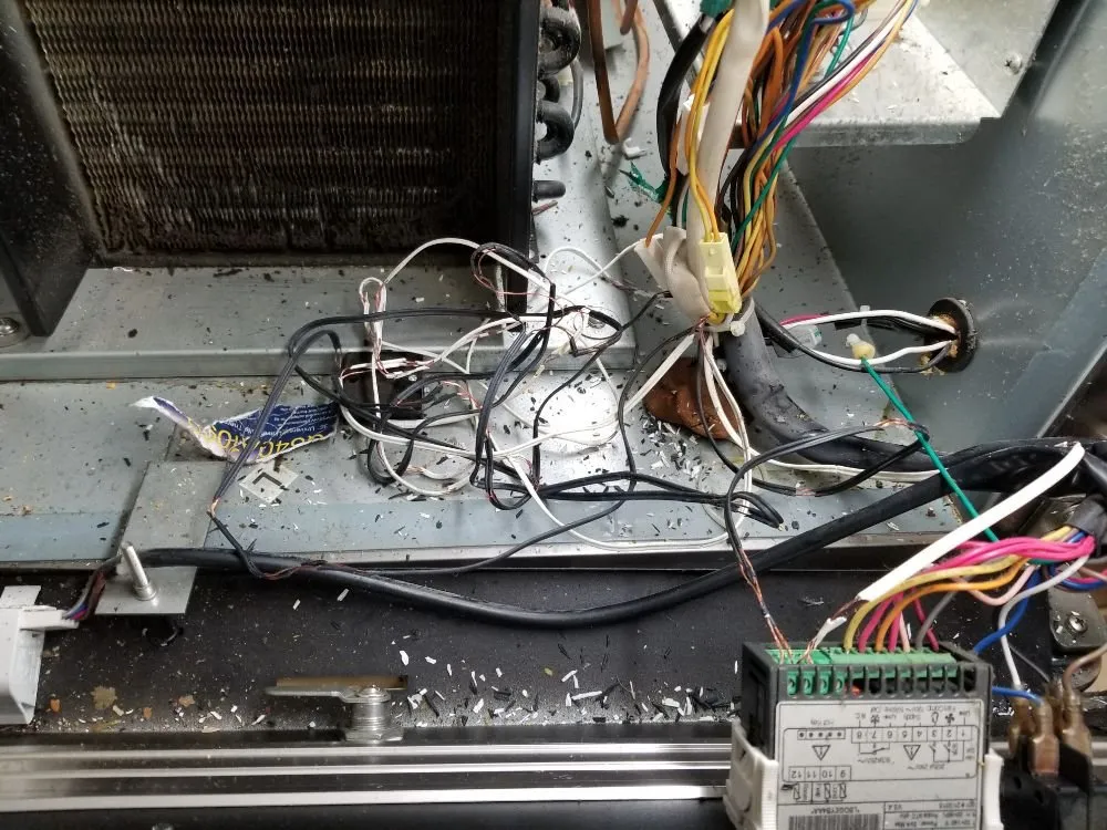 Slide of Instant Appliance Services