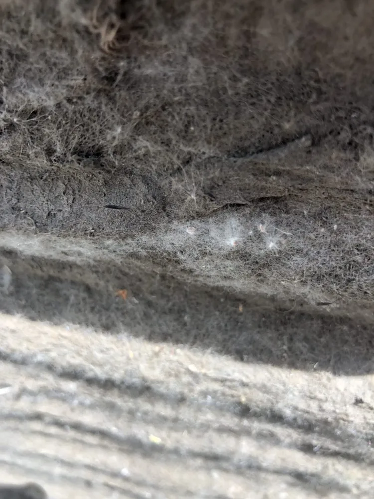 Slide of Integrated Air Solutions