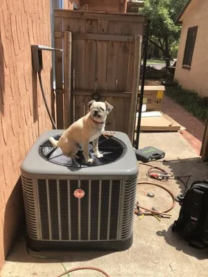 Integrity Services Logo