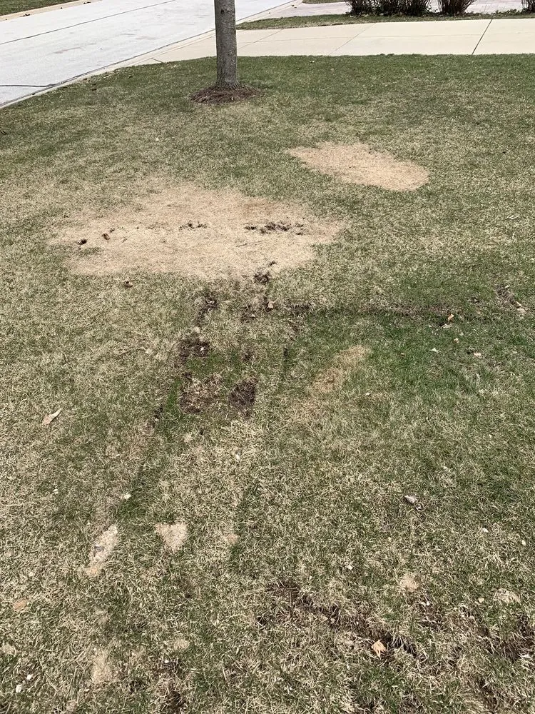 Slide of Intelligent Service: Plumbing, Heating, Cooling & Drain Cleaning