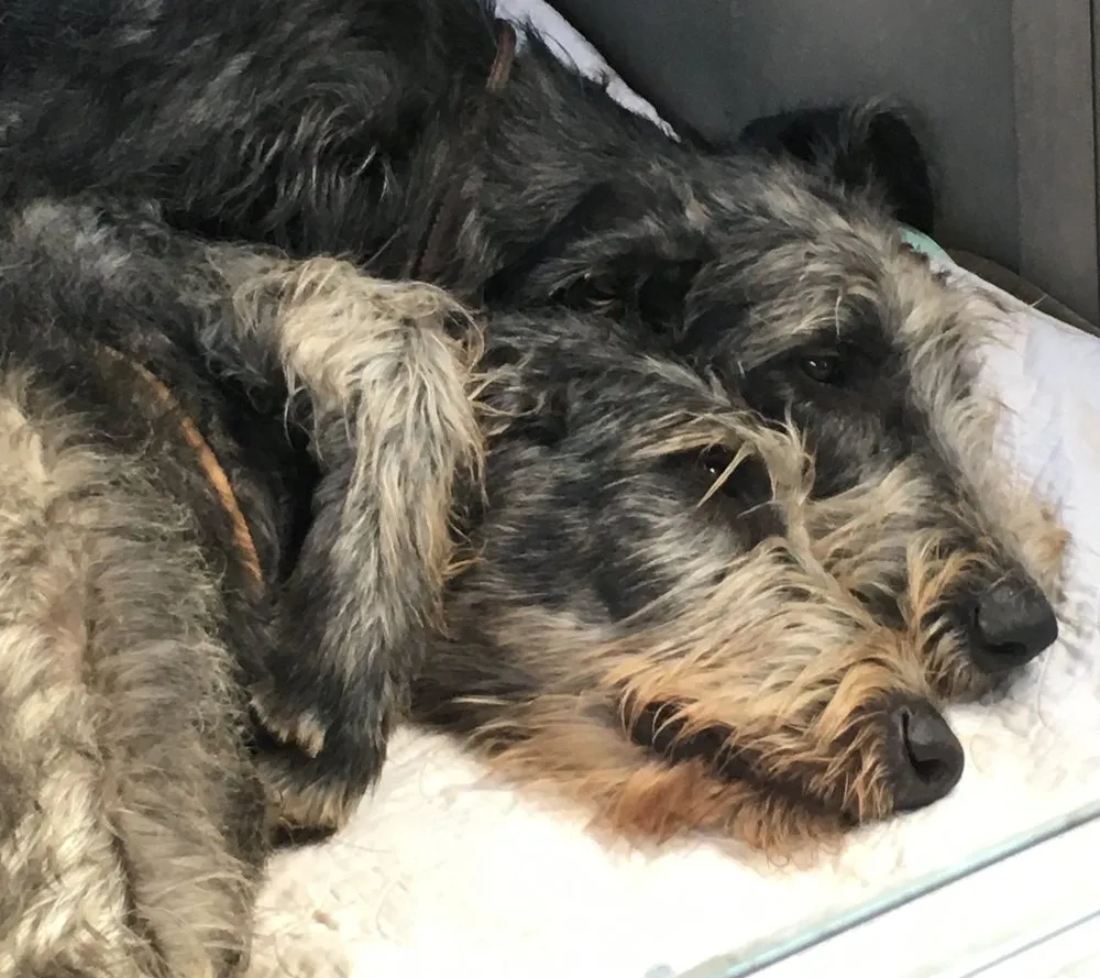 Slide of Interior Professional Heating and Air