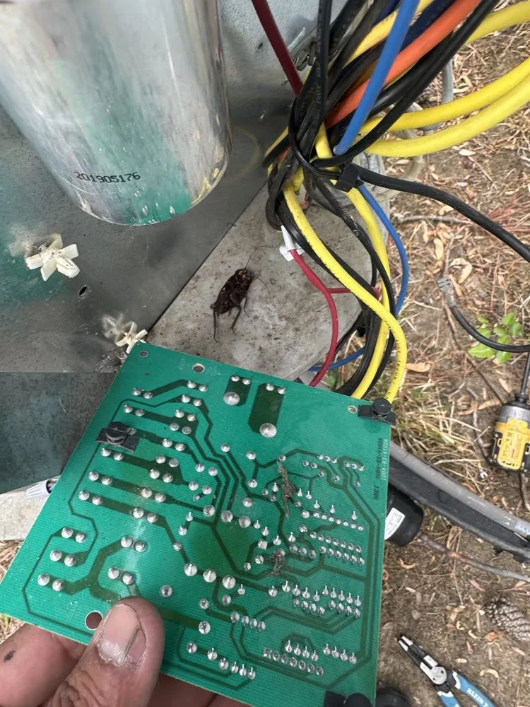 Slide of International Mechanical