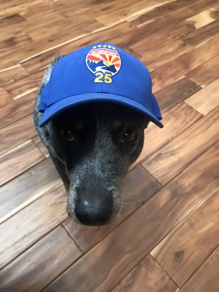 Slide of Interstate 25 Mechanical