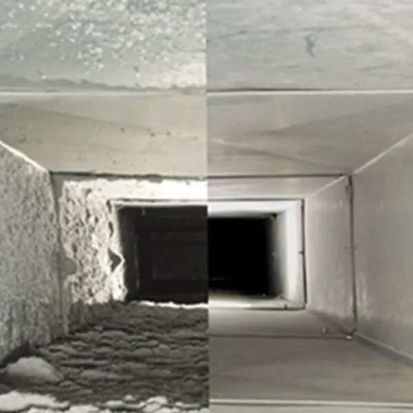 Slide of IPN Maintenance and Services