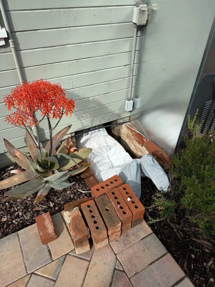 Slide of Iris Mechanical