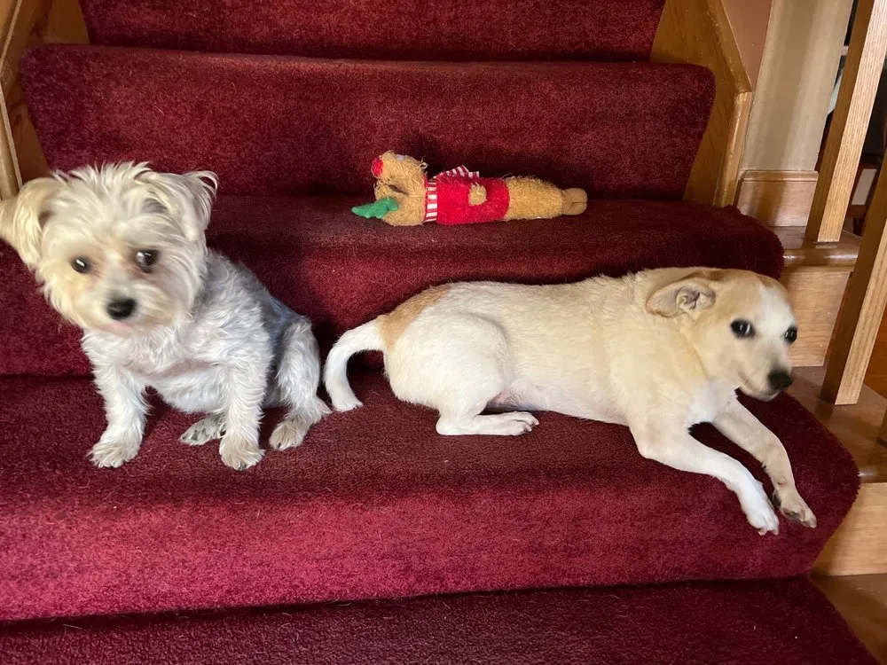 Slide of Isaac Heating and Air Conditioning