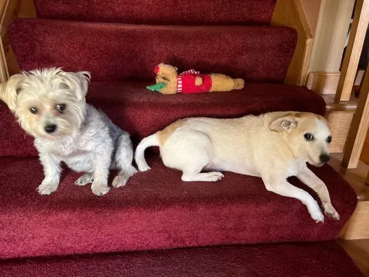 Isaac Heating and Air Conditioning