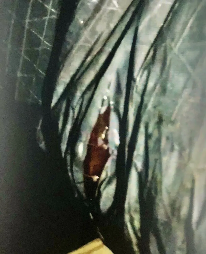 Slide of Island Air Conditioning