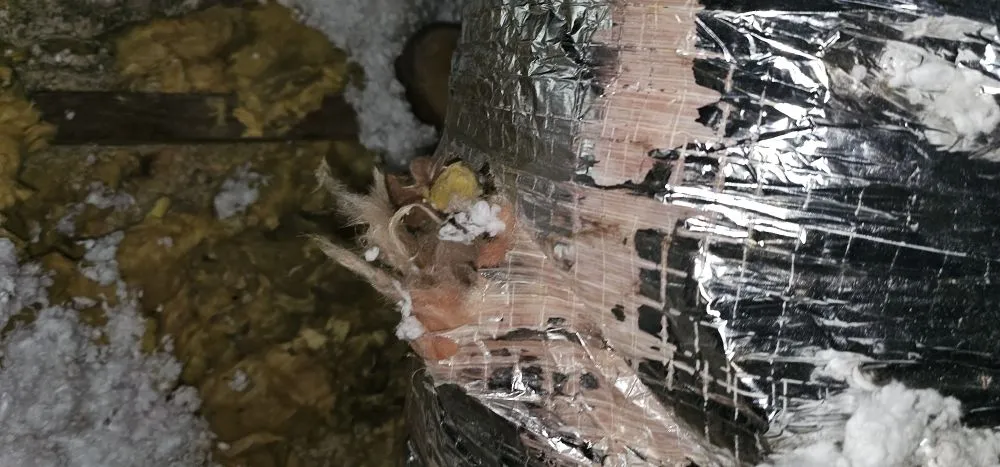 Slide of Island Air System