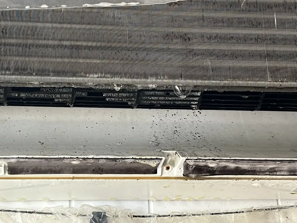 Slide of Island Comfort