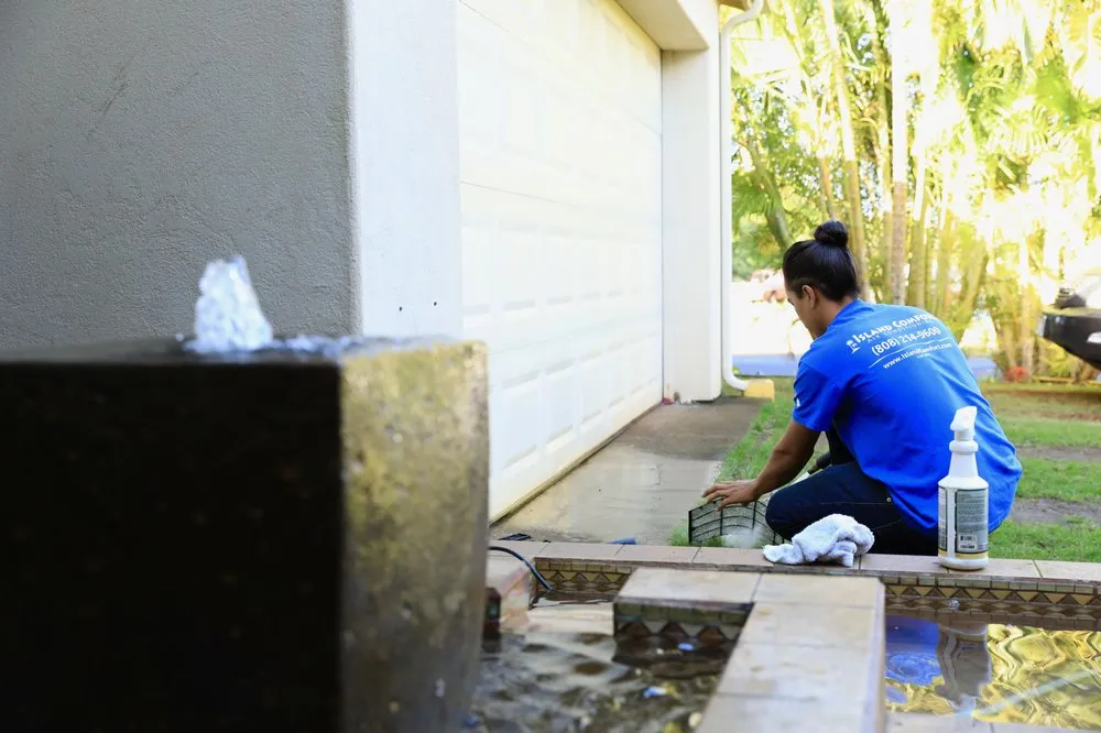 Slide of Island Comfort