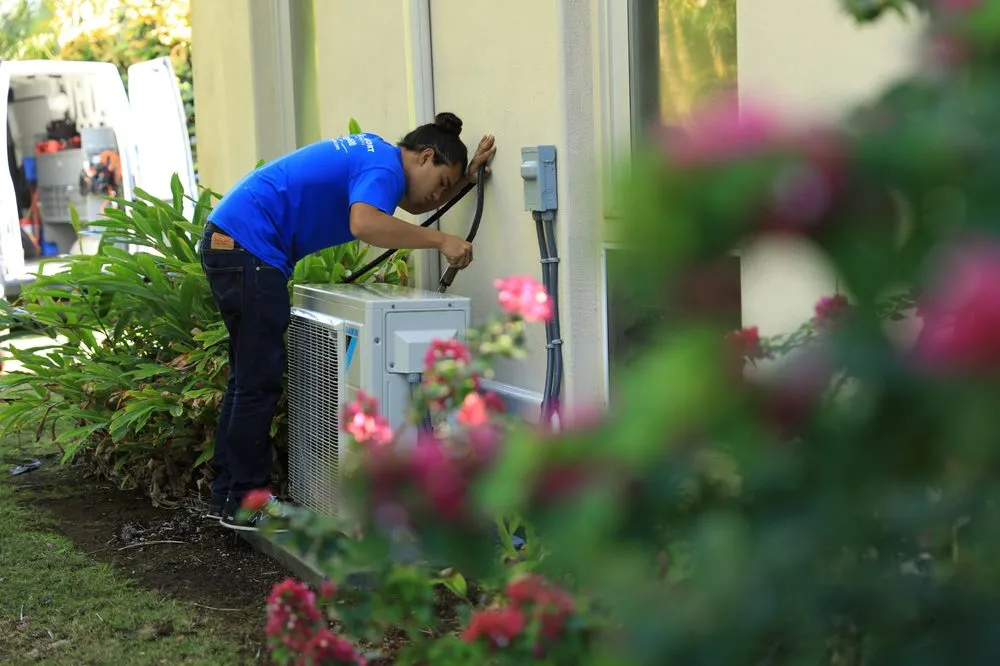 Slide of Island Comfort