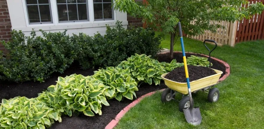 Slide of Island Service Group