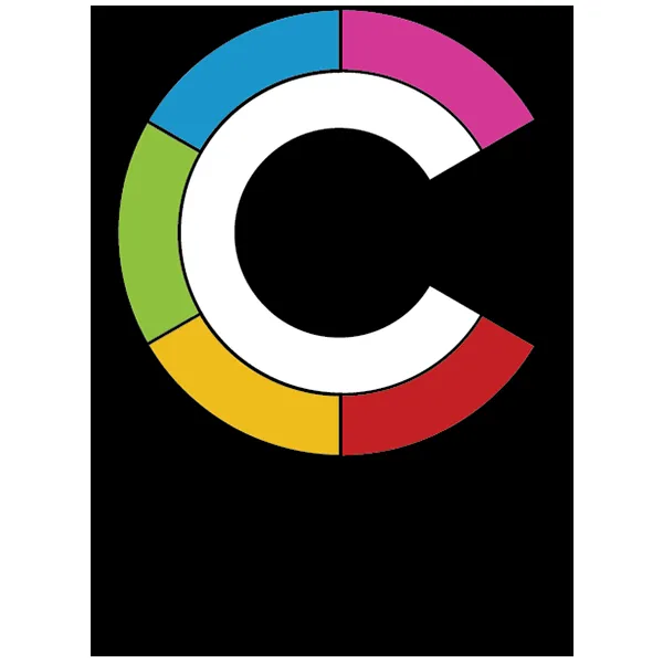 Slide of I&V Consulting