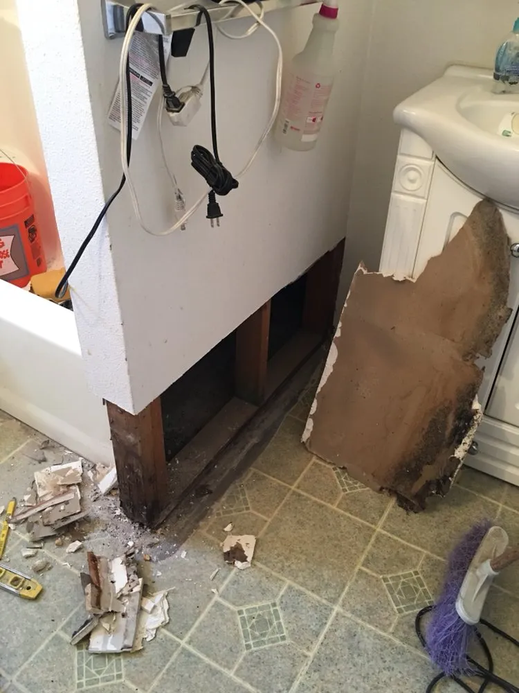 Slide of IV Pro Handyman