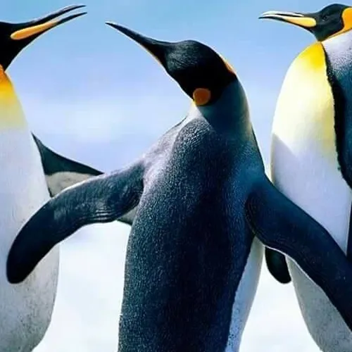 Slide of J & F Refrigeration & Air Conditioning Service