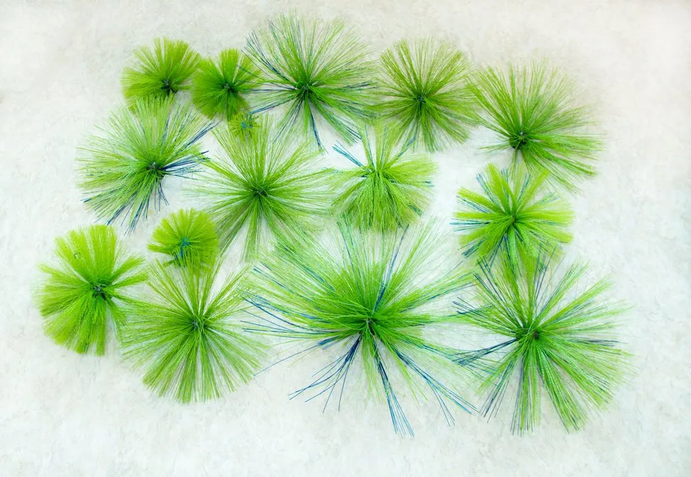 Slide of J & M Services