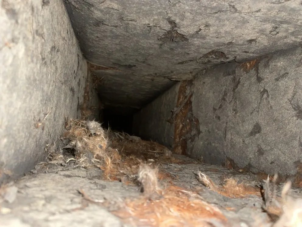 Slide of J & T Duct Cleanings