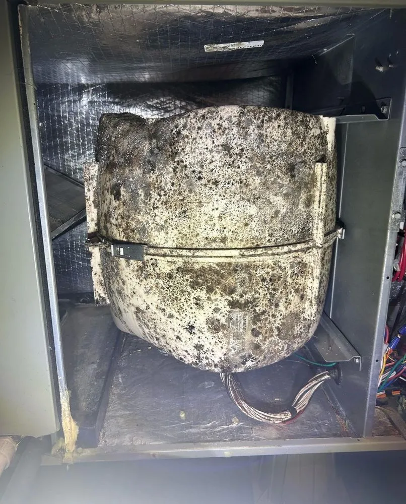 Slide of J Brown Property Solutions