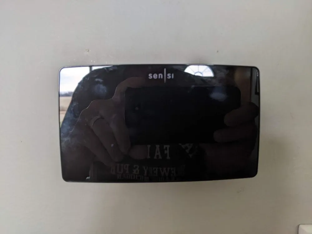 Slide of J E Johnson