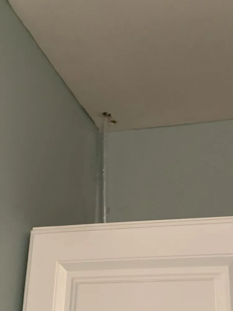 Slide of J. H. Roberts