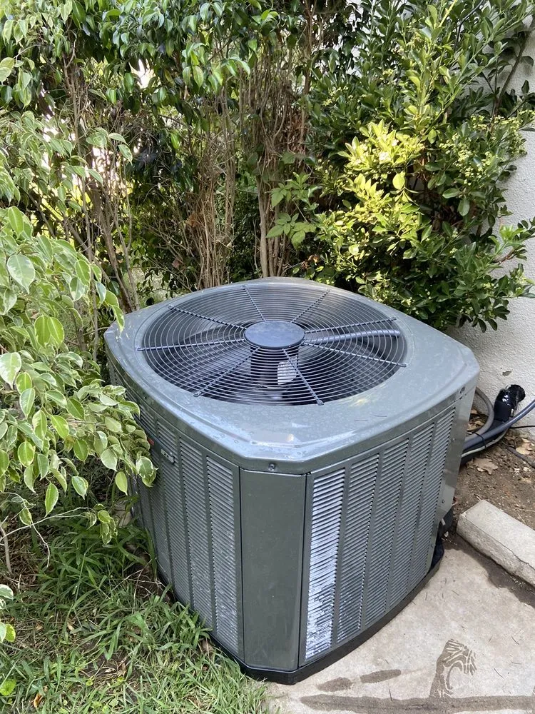 Slide of J L Cantrell