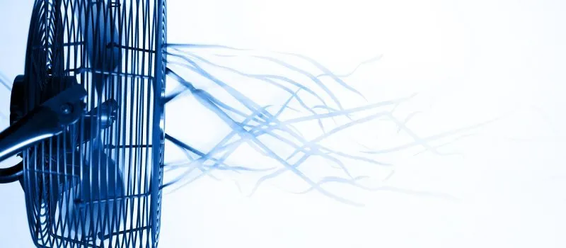 Slide of J Newton Cohen