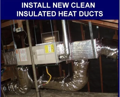 Slide of Jacks Rooter