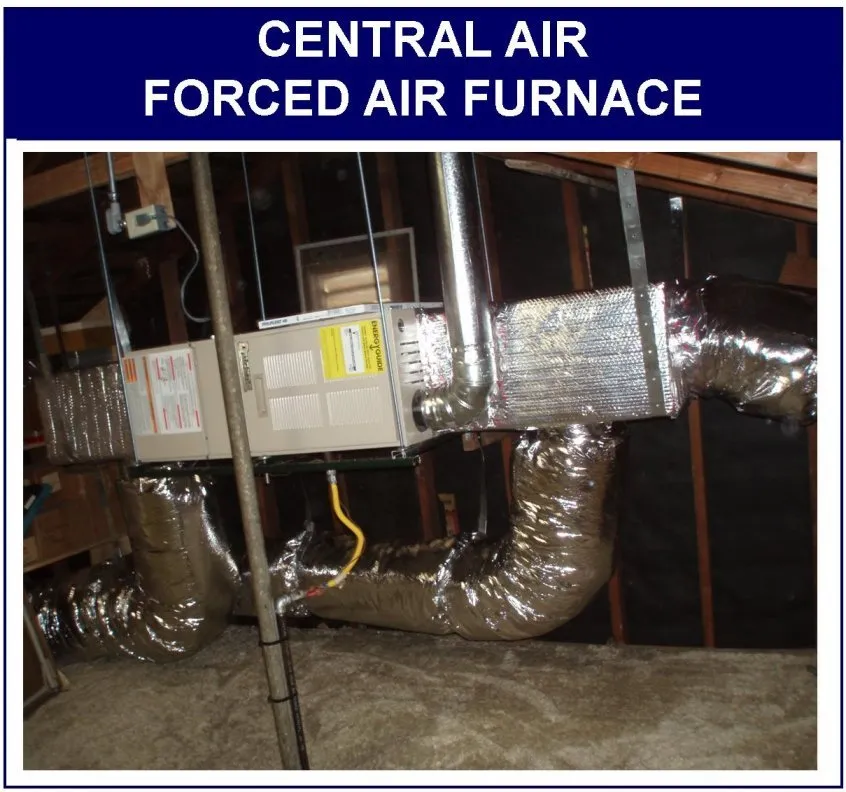 Slide of Jacks Rooter