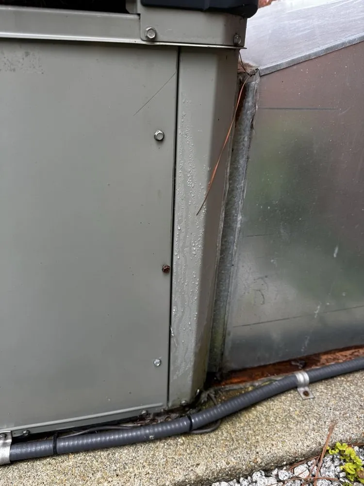 Slide of Jackson & Sons