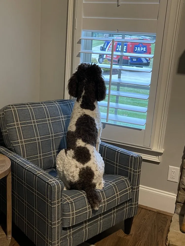 Slide of Jape Services