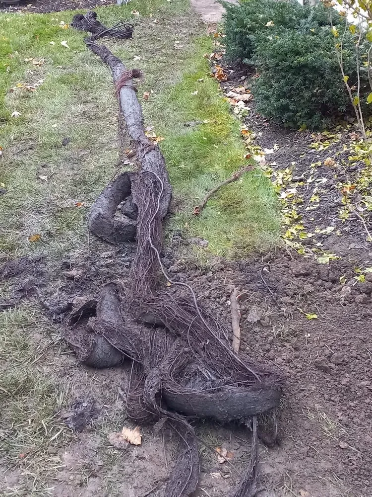 Slide of Jason's Sewer & Drain Services