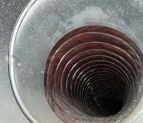 Slide of Javier's Duct Specialists