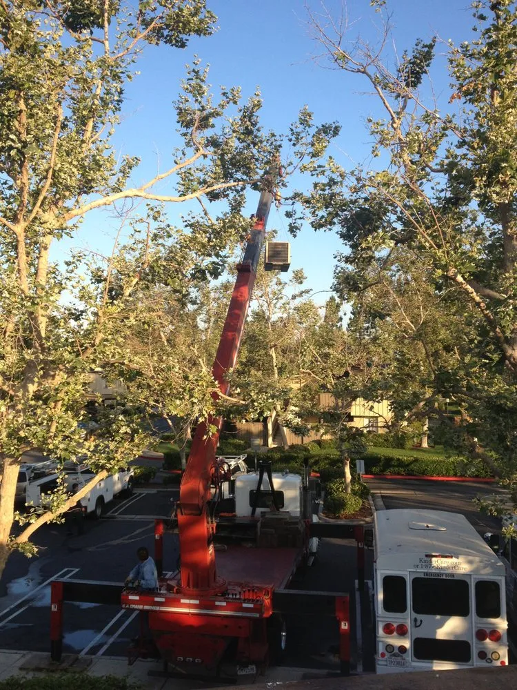 Slide of JC's Mechanical