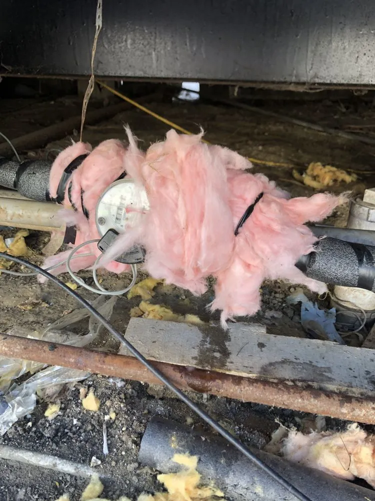 Slide of JD's Service & Restoration