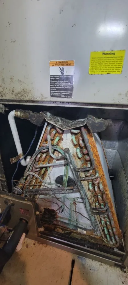 Slide of Jeans Pro Services