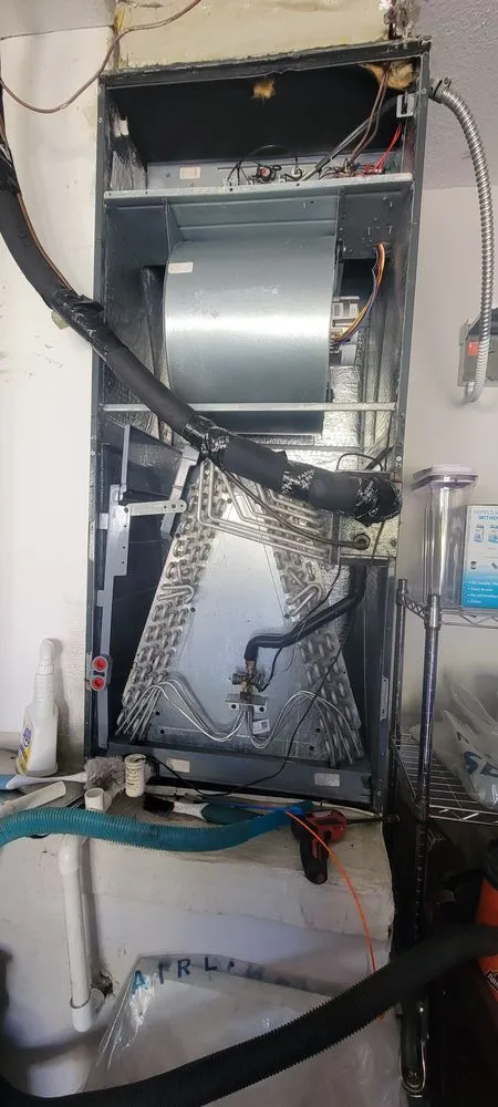 Slide of Jeans Pro Services