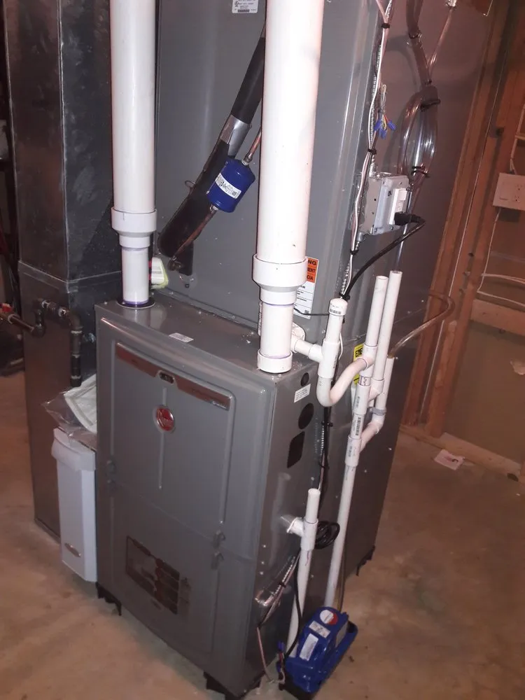 Slide of Jenalia Mechanical