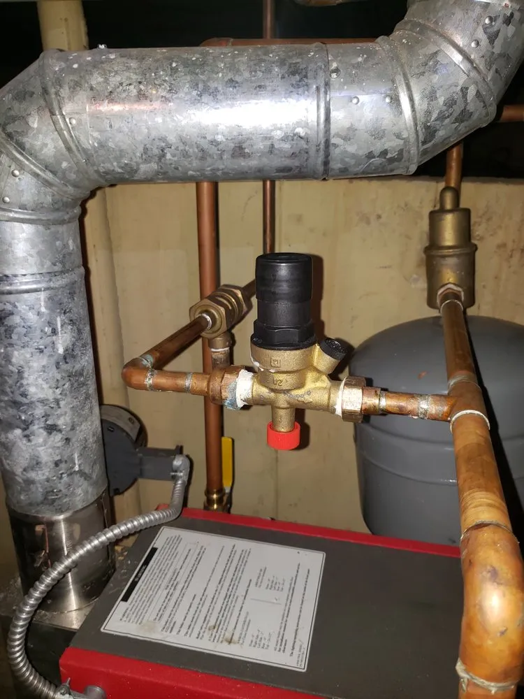 Slide of Jenalia Mechanical