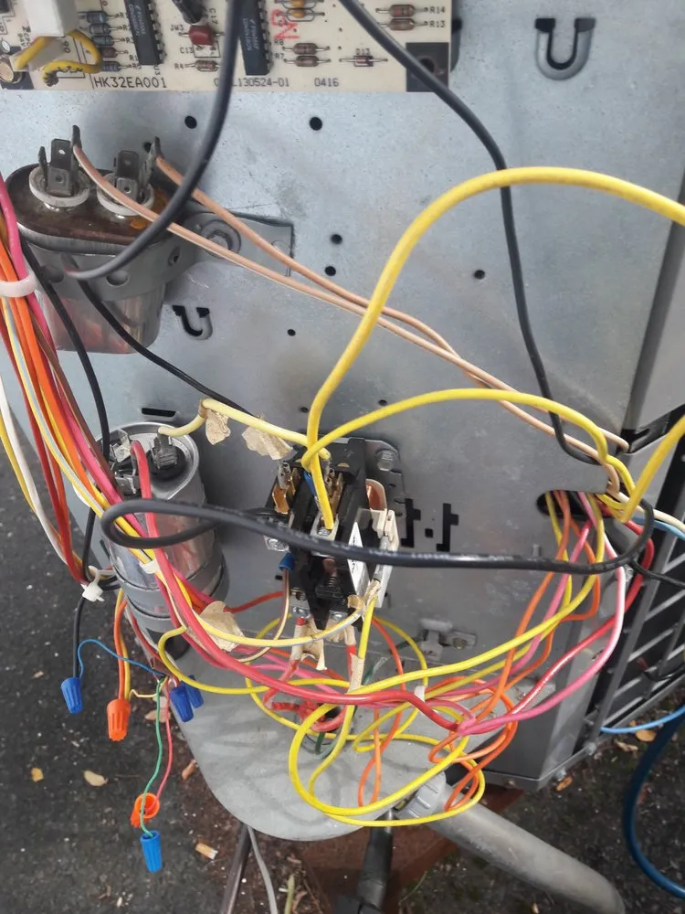 Slide of Jenalia Mechanical