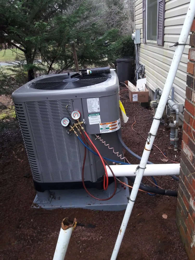 Slide of Jenalia Mechanical