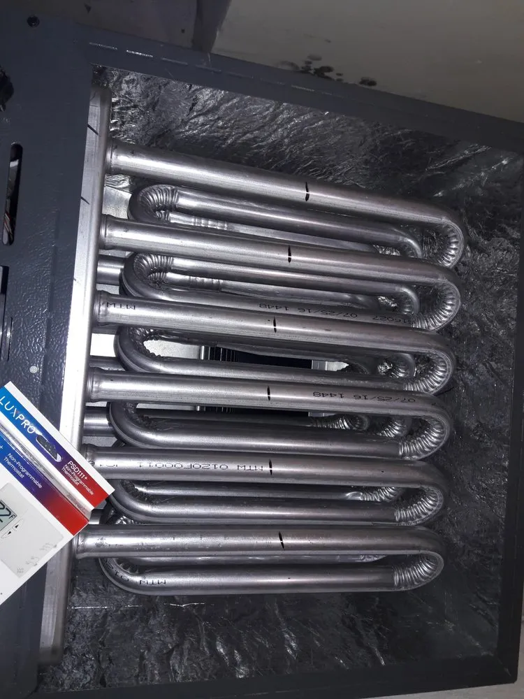 Slide of Jenalia Mechanical