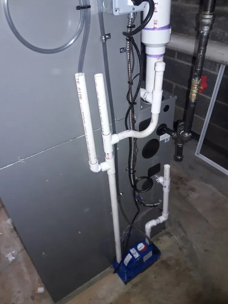 Slide of Jenalia Mechanical