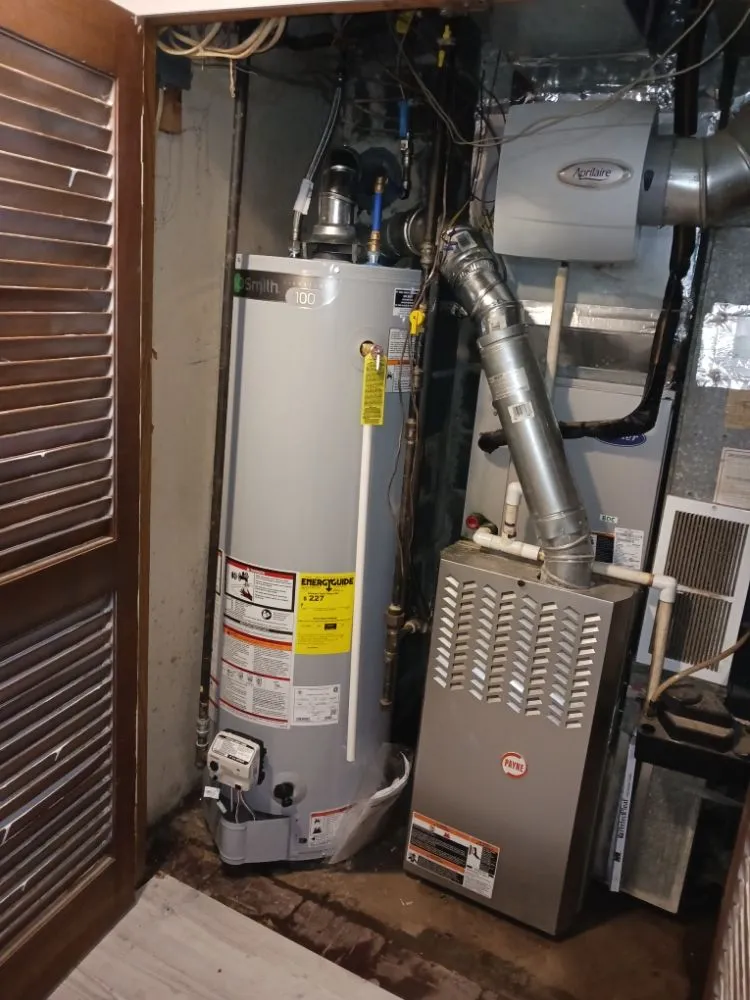 Slide of Jenalia Mechanical