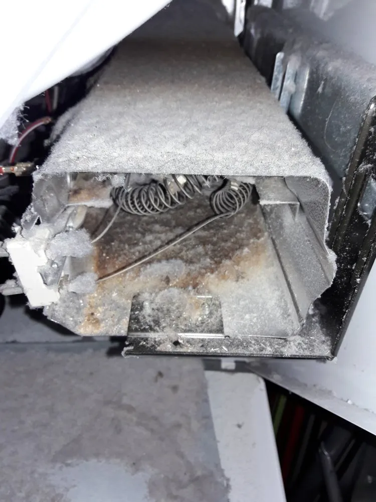 Slide of Jenalia Mechanical